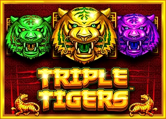Triple Tigers - MASURAPLAY77