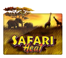 Safari Heat - MASURAPLAY77
