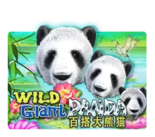 Wild Giant Panda - MASURAPLAY77