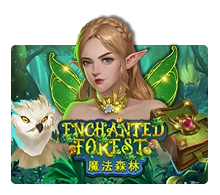 Enchanted Forest - MASURAPLAY77