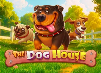 The Dog House - MASURAPLAY77
